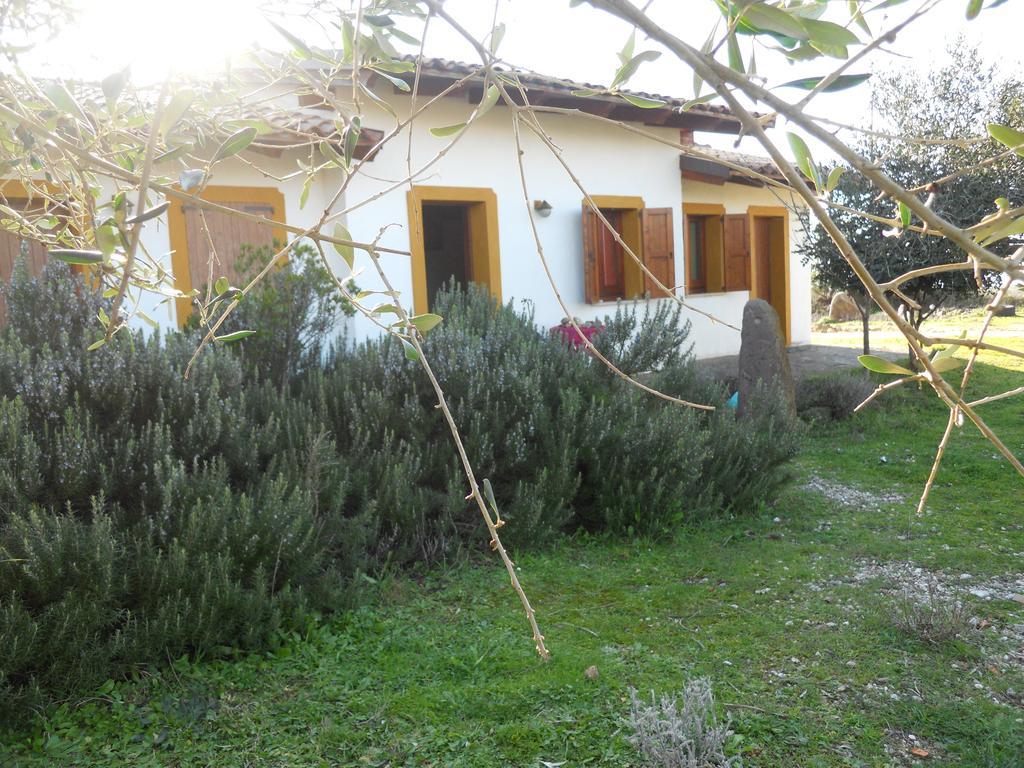 Villa Agriturismo Su Nuratolu Sagama Exterior foto